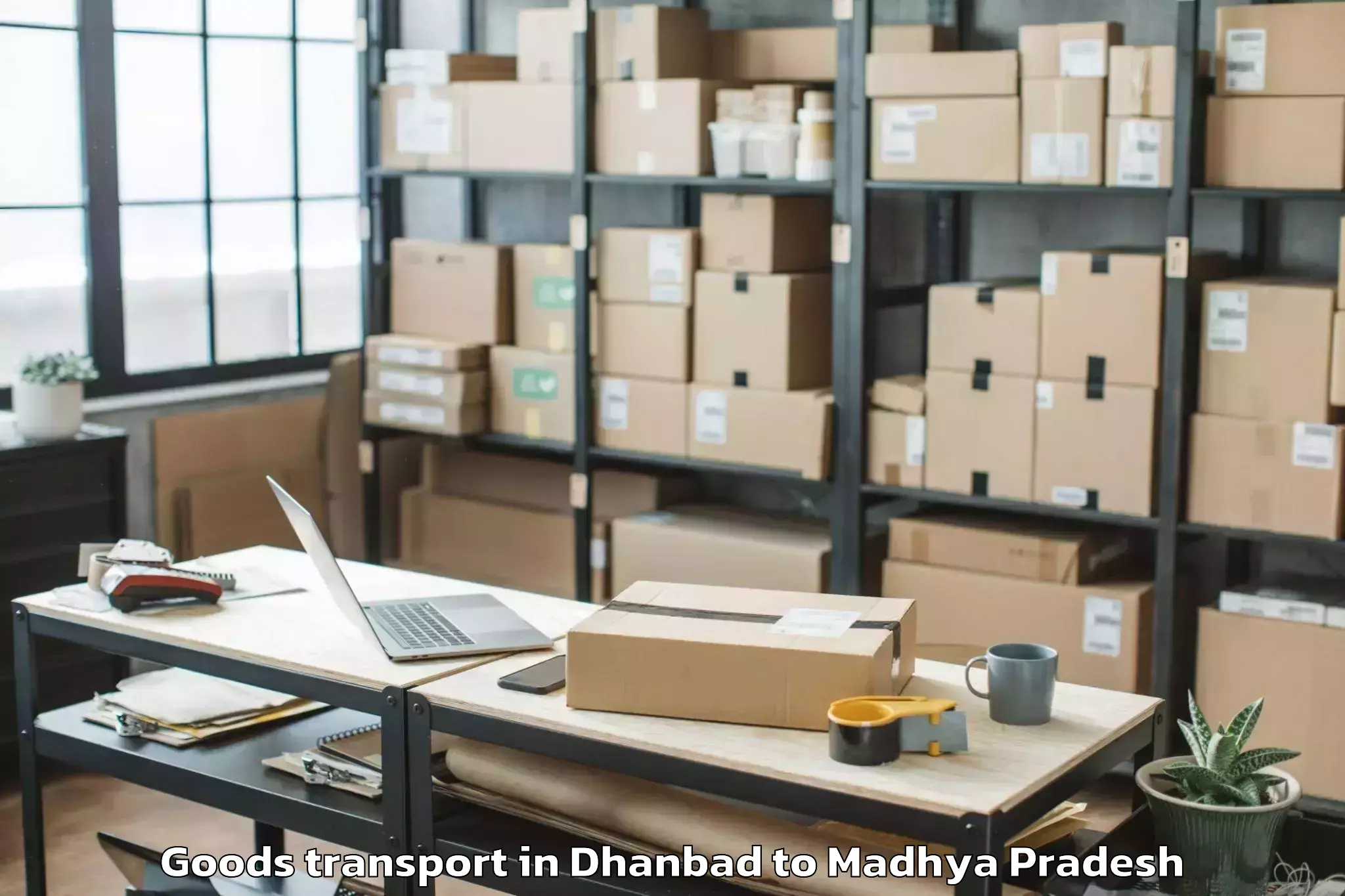 Book Your Dhanbad to Karera Goods Transport Today